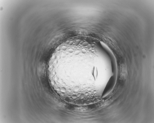 X0000086990511200704231848