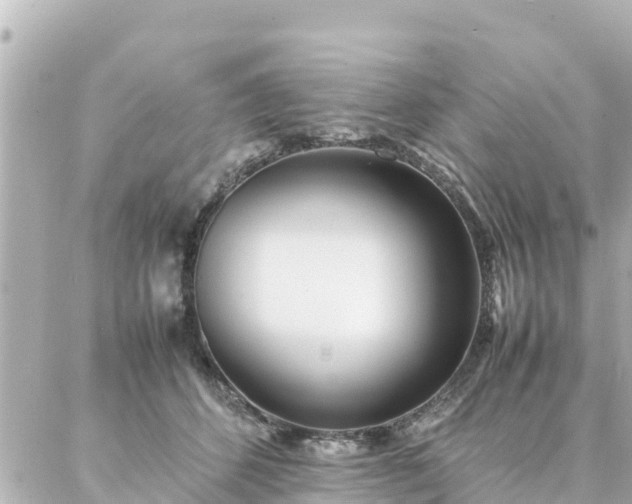 X0000086990512200704231848