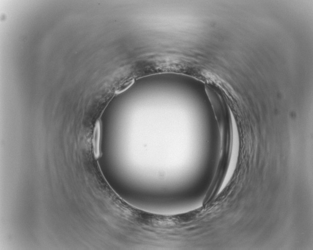 X0000086990513200704231848