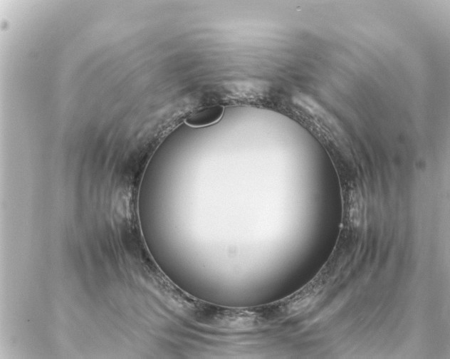 X0000086990514200704231848