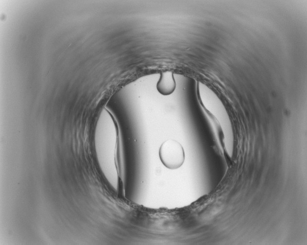 X0000086990516200704231848