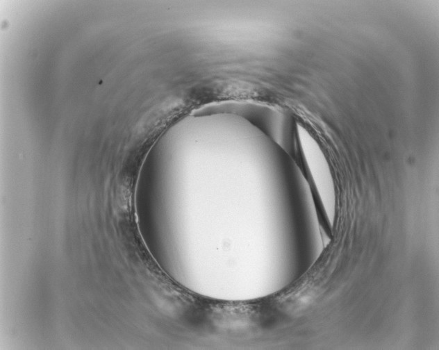 X0000086990517200704231848