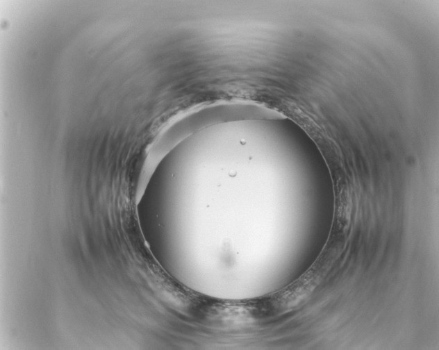 X0000086990518200704231848