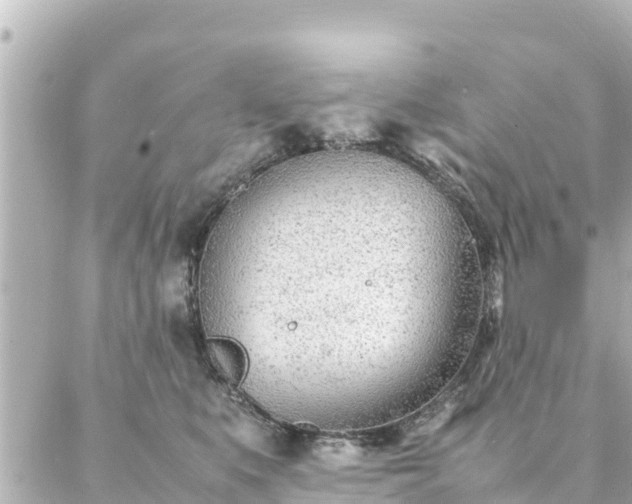 X0000086990519200704231848