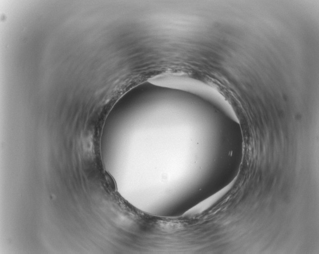 X0000086990520200704231848