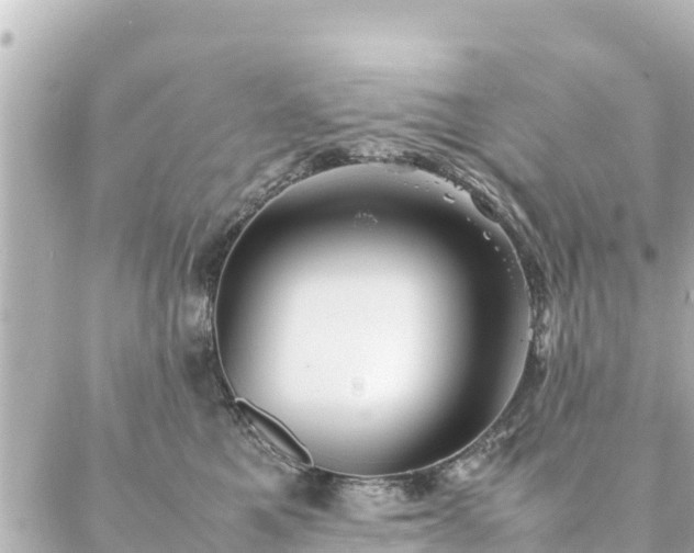 X0000086990521200704231848