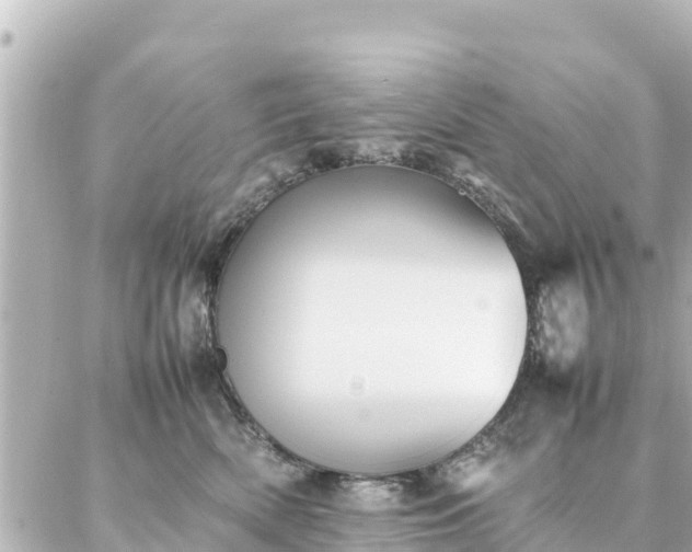 X0000086990522200704231848