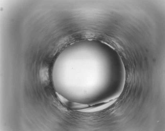 X0000086990524200704231848