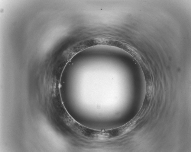 X0000086990525200704231848