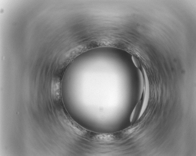 X0000086990526200704231848