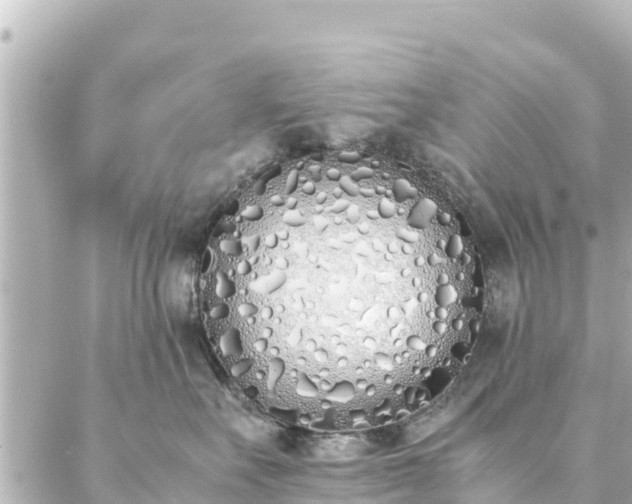 X0000086990527200704231848