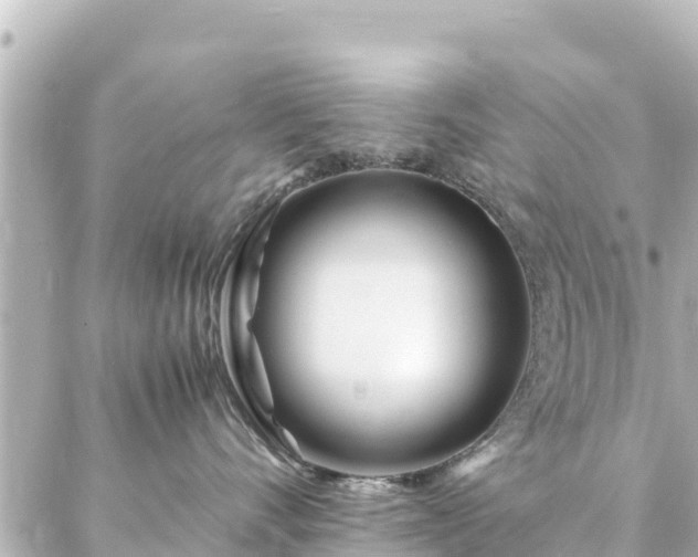 X0000086990528200704231848