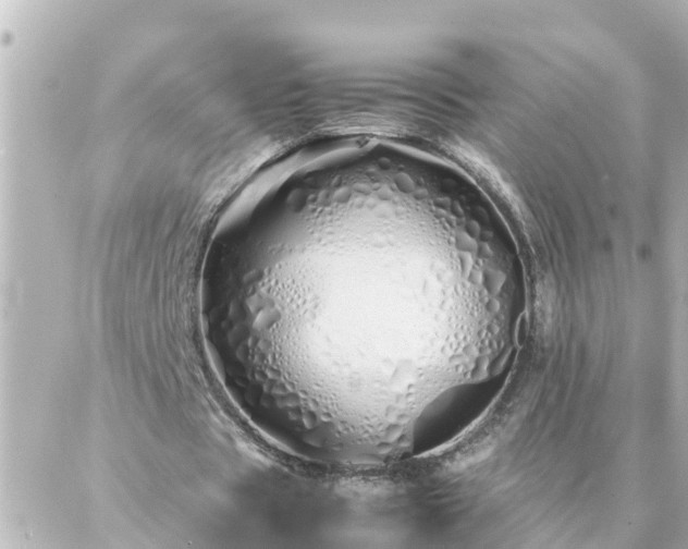 X0000086990529200704231847