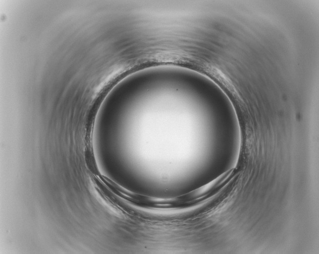 X0000086990530200704231847