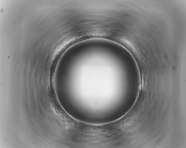 X0000086990531200704231847