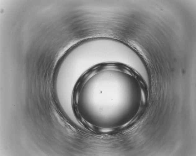 X0000086990532200704231847