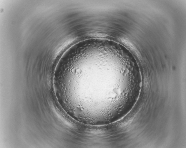 X0000086990533200704231847