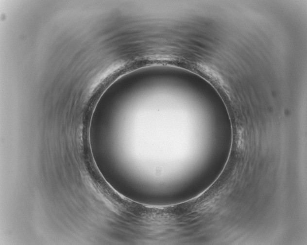 X0000086990535200704231847