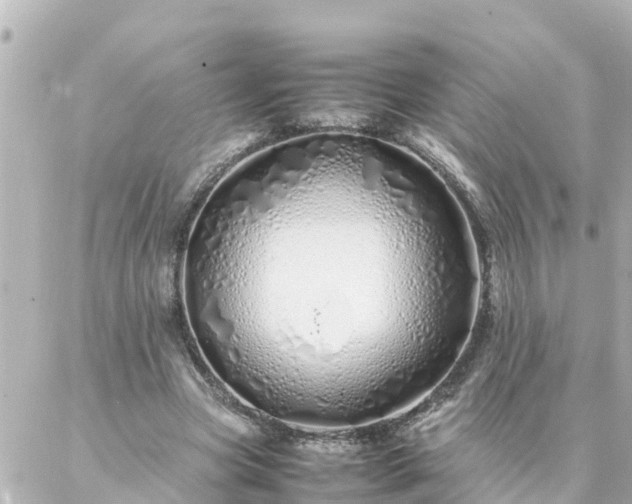 X0000086990537200704231847