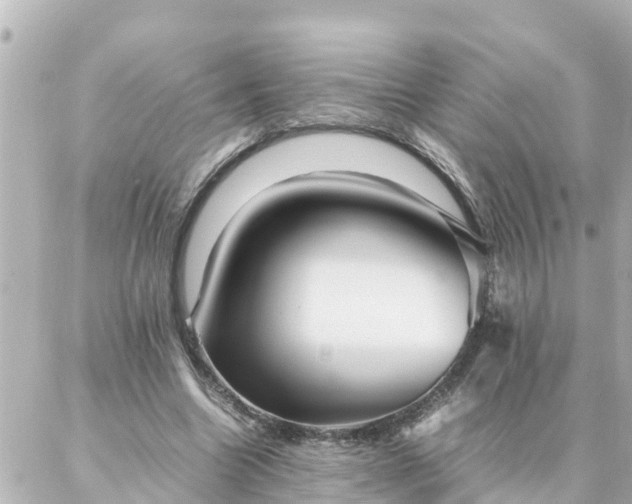 X0000086990538200704231847