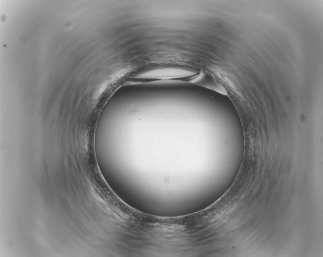 X0000086990539200704231847