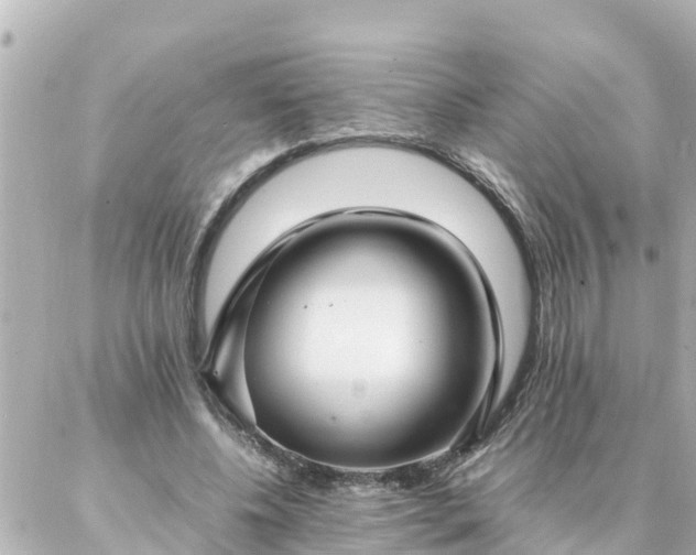 X0000086990540200704231847