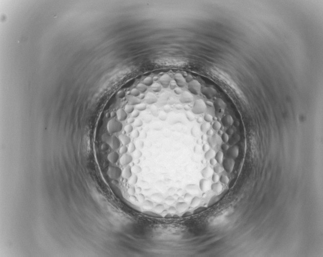 X0000086990541200704231847