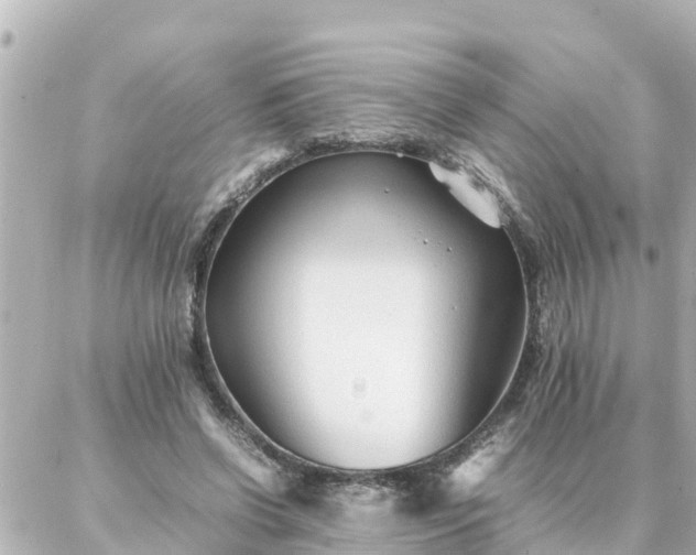 X0000086990542200704231847