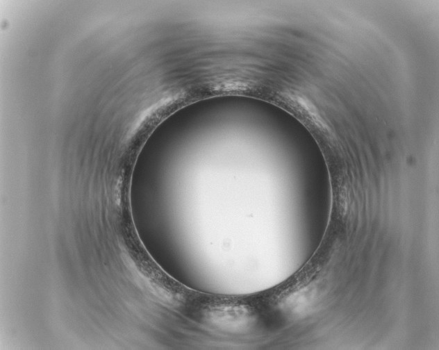 X0000086990543200704231847