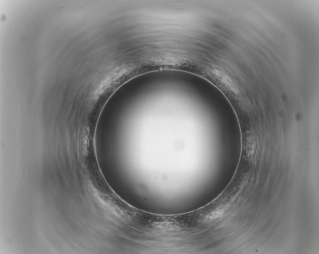 X0000086990544200704231847