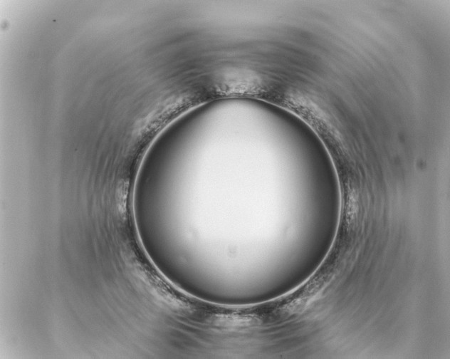 X0000086990545200704231847