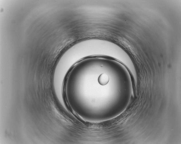 X0000086990546200704231847