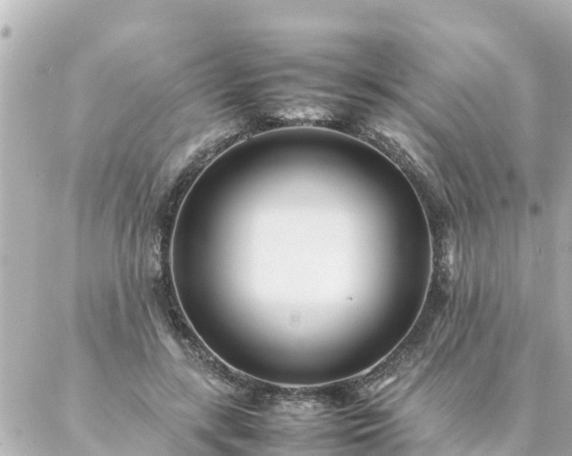 X0000086990547200704231847