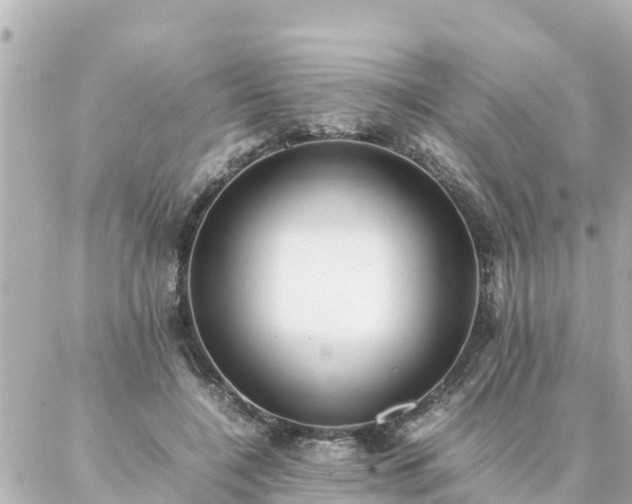 X0000086990548200704231847