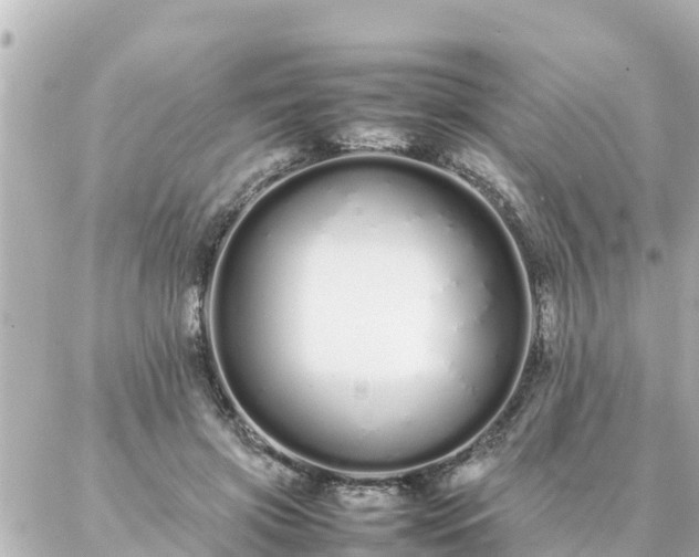 X0000086990549200704231847