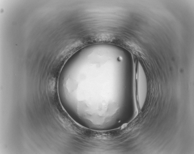 X0000086990550200704231847