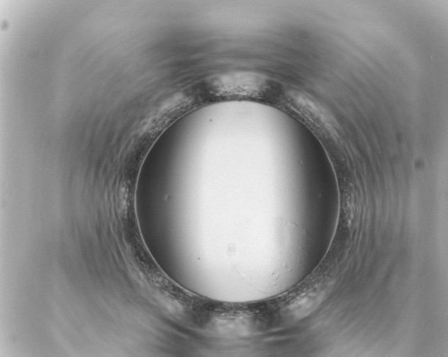 X0000086990551200704231847