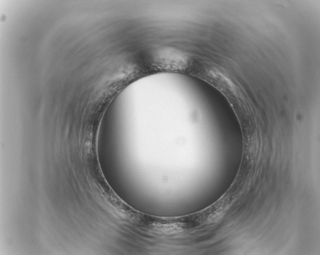 X0000086990553200704231847