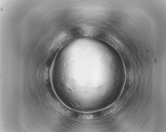 X0000086990554200704231847