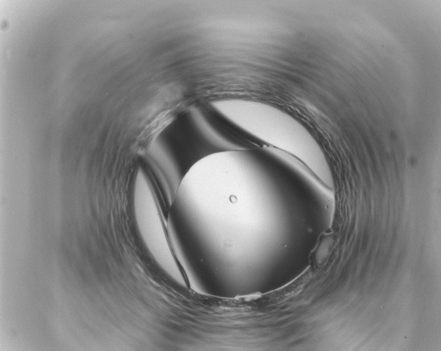 X0000086990556200704231847