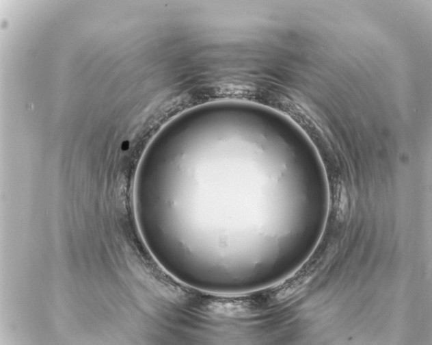 X0000086990557200704231847