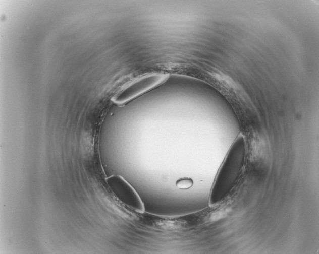 X0000086990558200704231847