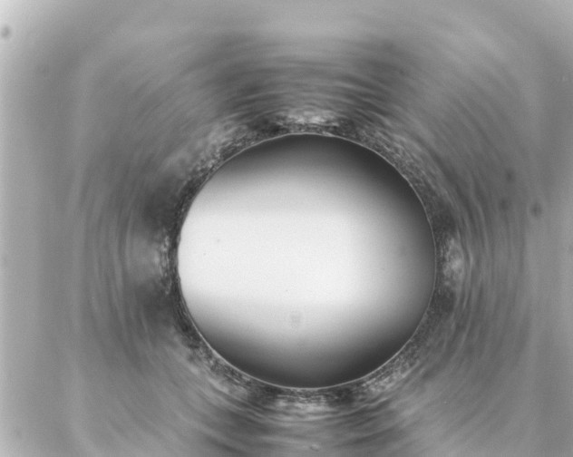 X0000086990559200704231847