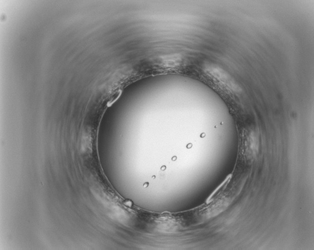 X0000086990562200704231848