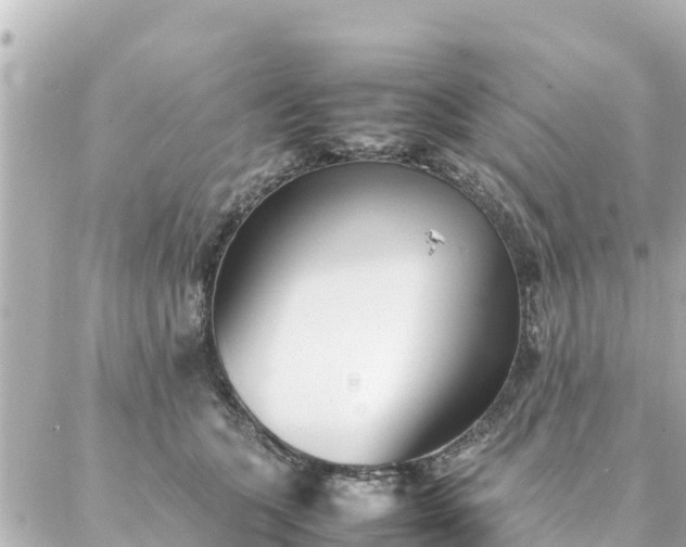 X0000086990563200704231848