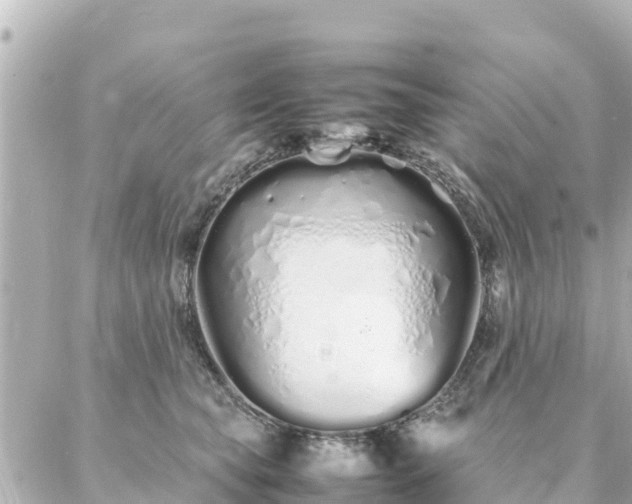 X0000086990565200704231848