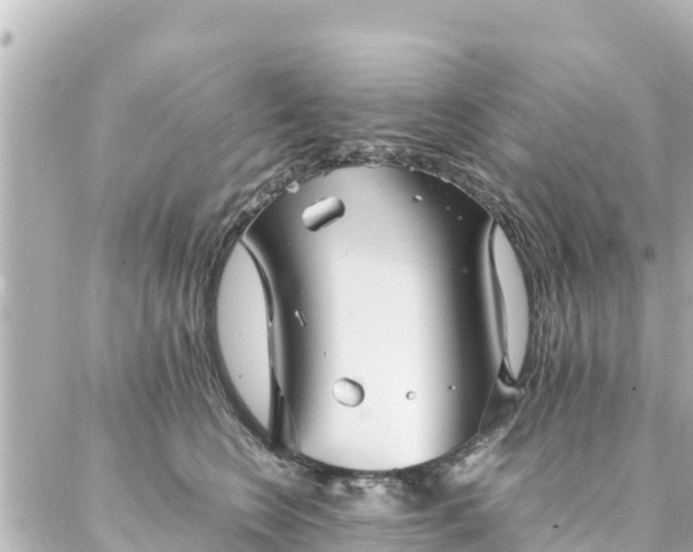 X0000086990566200704231848