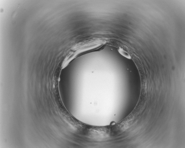 X0000086990567200704231848