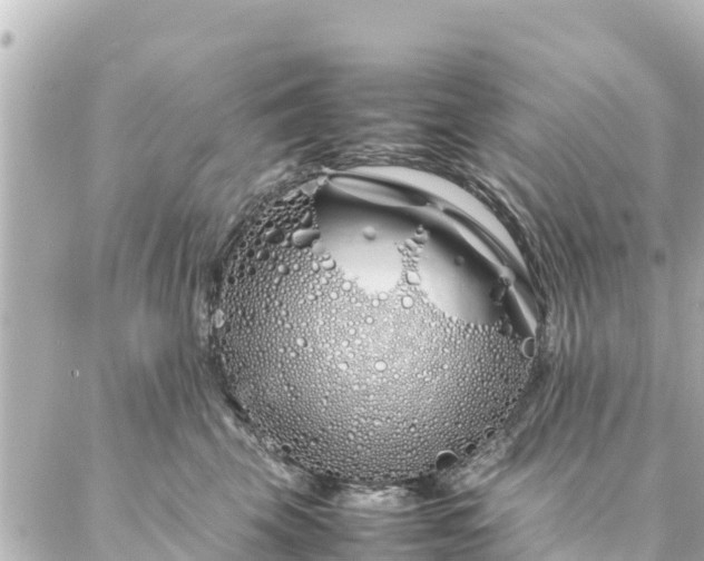 X0000086990569200704231848