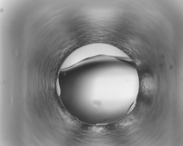 X0000086990570200704231848